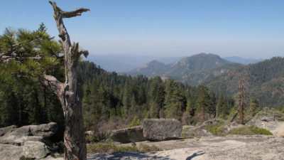The view from Beetle Rock in Sequoia National Park, California. Smog, containing high levels of ozone, blows in from the San Joaquin Valley.
