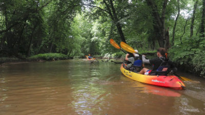 An expedition of naturalists and students kayaks up the Cooper River last month.