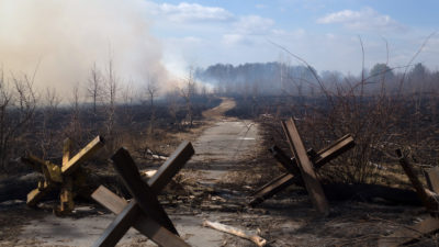A forest smolders in Byshiv, Ukraine following fighting, March 27, 2022.