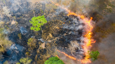 Aerial view of burning near the Phnom Tnout Phnom Pok Wildlife Sanctuary in northern Cambodia. During the dry season, hundreds of fires rage across the country, many started by loggers and farmers.