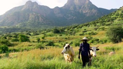 The Guera Mountains in southern Chad, a region that has grown greener in recent decades.