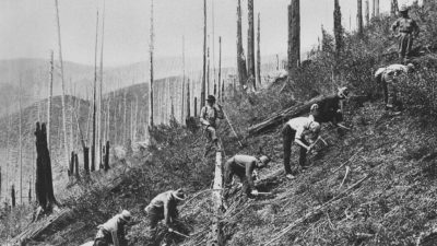 A Civilian Conservation Corps crew clears brush and plants seedlings in St. Joe National Forest in Idaho in the 1930s.