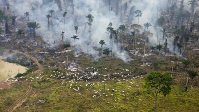 A fire set to clear land for farming in Pará state in the Brazilian Amazon.