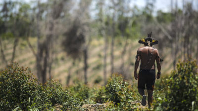 A Guarani man walks through a cleared patch of Brazil's Atlantic Forest that the local Indigenous community is trying to reforest.