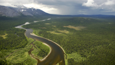 Virgin Komi Forest in the northern Ural Mountains in the Komi Republic, Russia.