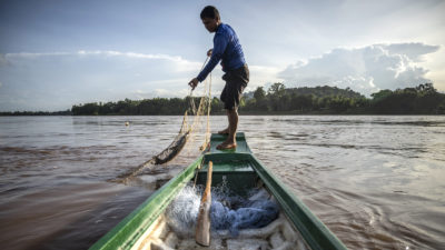 A fisher hauls in his net on the Mekong River at the height of monsoon season last August.