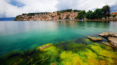 Algae along the shore of Lake Ohrid, North Macedonia. 