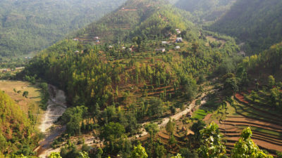 Trees grow on former terraced rice fields in Gulmi District, Nepal.