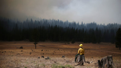 A U.S. Fish and Wildlife Service firefighter monitors the Rim Fire in August 2013 near Groveland, California.