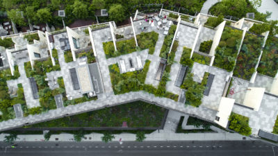 Rooftop gardens in Brooklyn Heights, New York City.