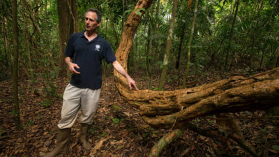 Ecologist Stefan Schnitzer with a liana, a type of woody jungle vine, on Panama's Barro Colorado Island.