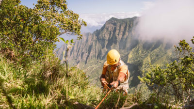 Botanist Steve Perlman rappels into the Kalalau Valley, a biodiversity hotspot on the Hawaiian island of Kauai.