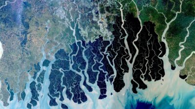 Satellite image of the Sundarbans coastal forest in Bangladesh, which is habitat for the endangered Bengal tiger.