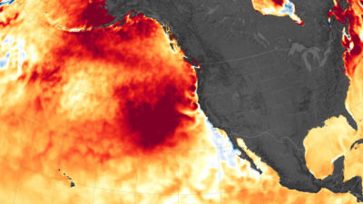A marine heatwave off the west coast of North America in August 2019.