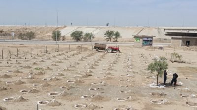 A plantation site for the 10 Billion Tree Tsunami Project in the Khyber Pakhtunkhwa province of Pakistan.