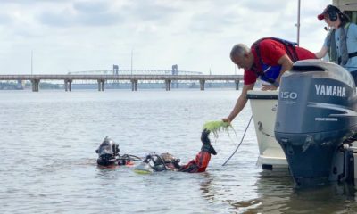 Camden Mayor Vic Carstarphen hands a flat of wild celery to an EPA diver for transplant.