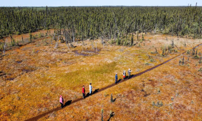 Laurier University scientist William Quinton and a group of Indigenous Łı́ı́dlı̨ı̨ Kų́ę́ walk through a bog near the Scotty Creek Research Station in the Northwest Territories.