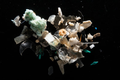 Microplastics found in the Corsica River in Maryland.