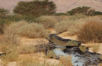 A 2014 oil spill in Israel's Evrona Nature Reserve.