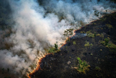 A fire in the Amazon rainforest in northern Brazil in August. 