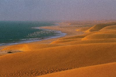 Banc d'Arguin National Park in Mauritania, wintering grounds for Afro-Siberian red knots. 