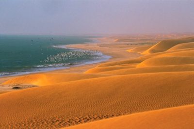Banc d'Arguin National Park in Mauritania, wintering grounds for Afro-Siberian red knots. 
