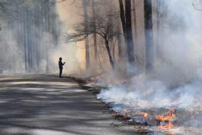 A controlled burn undertaken by the Nature Conservancy in eastern Maryland in March.