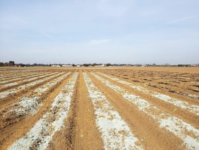 Rock dust applied to farmland in California.