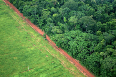 Farmland next to rainforest near Rio Branco, Acre, Brazil.