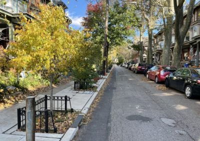 Tree planters on Osage Avenue in Philadelphia that were designed to absorb stormwater.