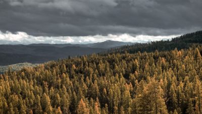 Flathead National Forest, Montana