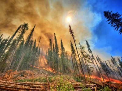 The Summit Trail Fire burns through Washington state, July 19, 2021.