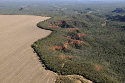 A farm encroaches on forest in Brazil's Cerrado region.