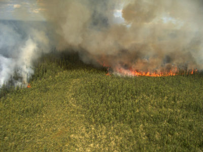 A wildfire in central Alaska in July 2008. Wildfires burn roughly 6.9 million acres in the U.S each year — nearly double the annual average in the 1990s.