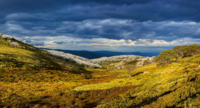 Alpine National Park in Victoria, Australia, a region that has grown greener despite becoming drier.