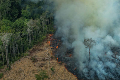 Forest fires burn part of the Amazon in Candeiras do Jamari, Rondonia, Brazil in August 2019.