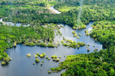The Amazon rainforest near the Brazilian city of Manaus.