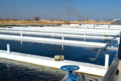 Fish farms in the Ararat Valley use groundwater to raise trout, sturgeon, and other fish, most of which are exported to Russia.