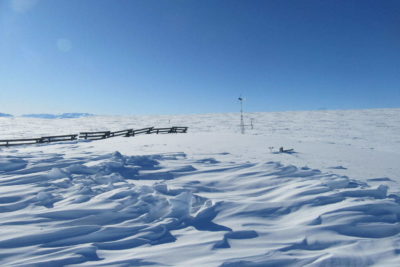 The International Tundra Experiment at Toolik Lake in Alaska.