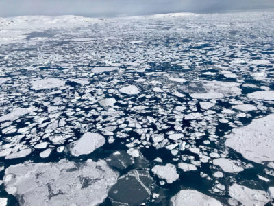Sea ice in the eastern Beaufort Sea in 2018.
