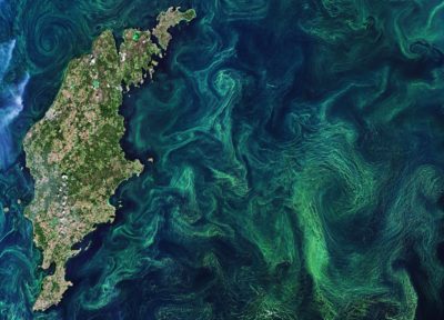 An algal bloom, fueled by fertilizer runoff, around the Swedish island of Gotland in the Baltic Sea.