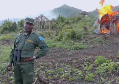 A guard with the Congolese Institute for the Conservation of Nature burns the homes of Batwa in Kahuzi-Biega National Park in 2019.