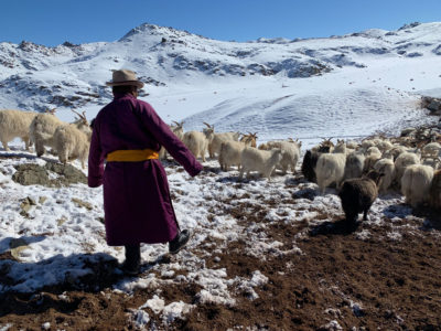A herder in the Tost Tosonbumba Nature Reserve in Mongolia's Gobi Desert.