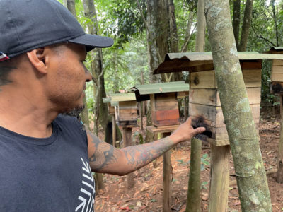 Left: Jurandir Jekupe of the Guarani Mbya tends to a beehive in the village of Yvy Porã in the Atlantic Forest. Right: An uruçu stingless bee in one of 110 beehives in Yvy Porã.