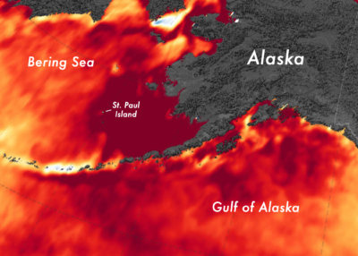 A marine heat wave in August 2019. In deep red areas, the ocean surface was more than 5 degrees F warmer than normal.