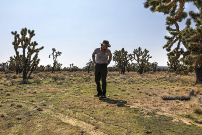 Drew Kaiser, a botanist with the National Park Service, inspects invasive red brome grass in Mojave National Preserve.
