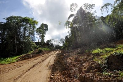 A logging road in Sabah, Borneo.