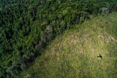 Cleared land in the Amazon in the Brazilian state of Pará in September 2019.