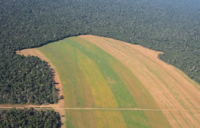Forest cleared for farming in Mato Grosso, Brazil.
