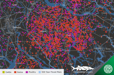 CLICK TO ENLARGE. Concentrated animal feeding operations in eastern North Carolina. 